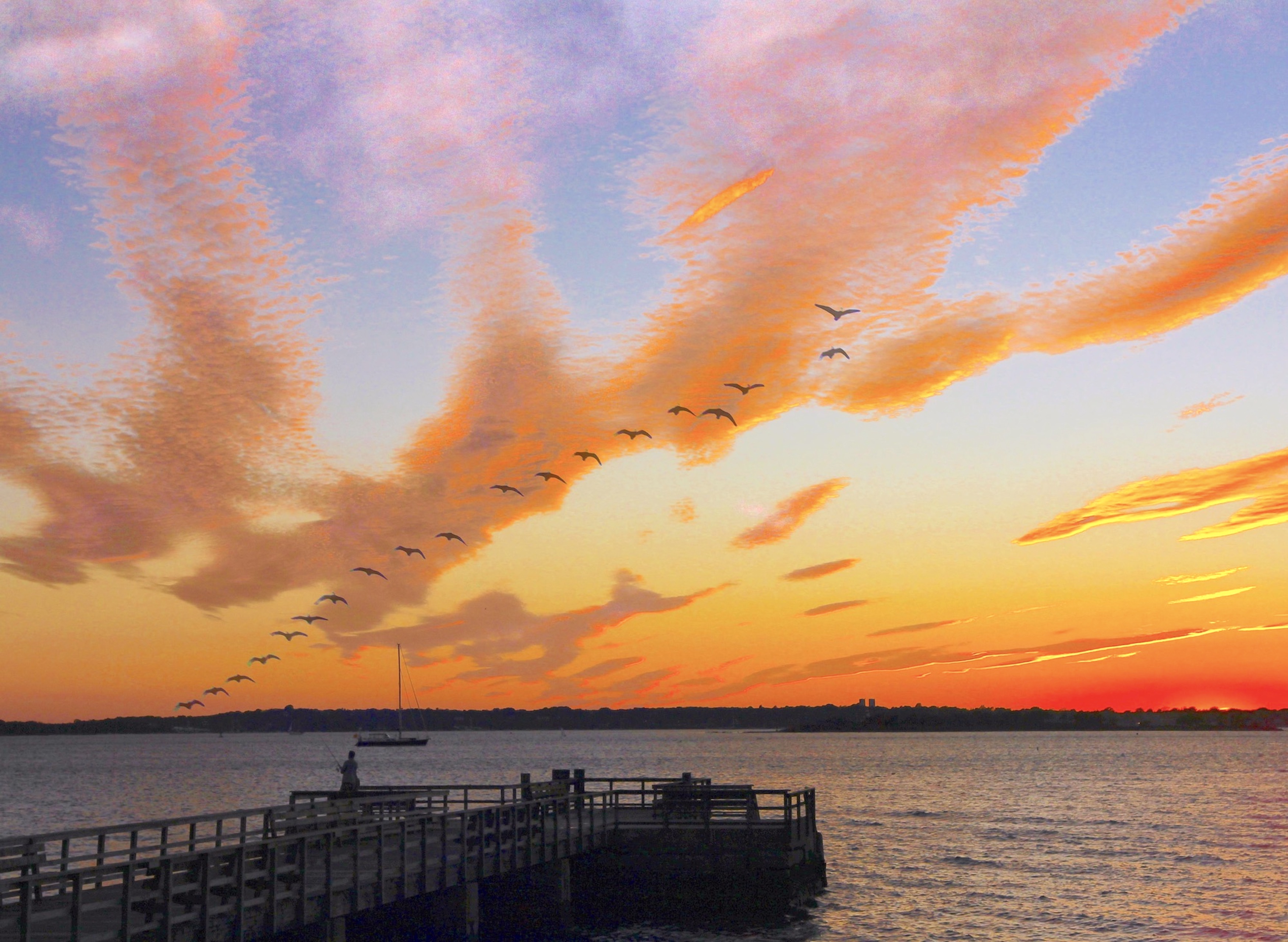 Flight Pattern Shutterbug